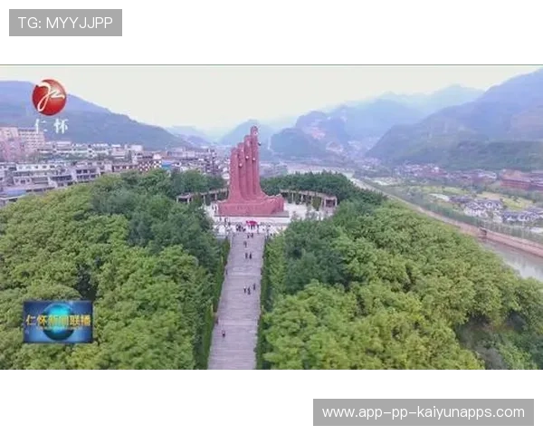 投资者呼吁公平保护，茅台镇项目遭遇困境，茅台镇官方网站